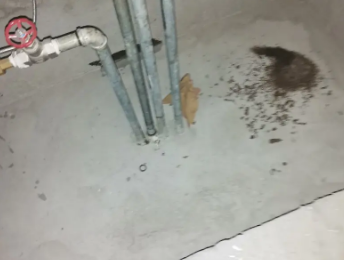 镶黄旗卫生间测漏水价格明细